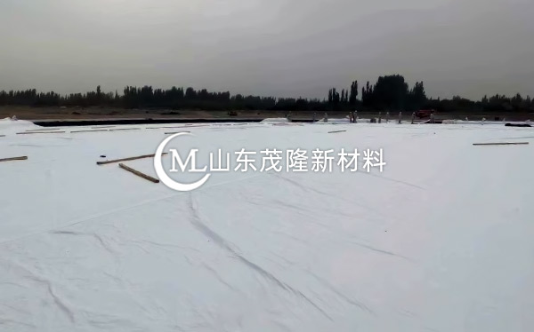 《中國石化庫車商儲庫工程》土工膜、土工布施工  第5張