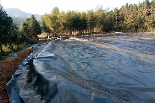 土工膜可以鋪到砂礫層嗎  第1張